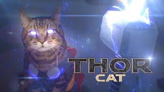 Thor Cat