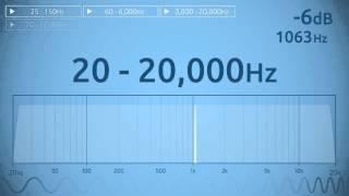 20 - 20,000 Hz Audio Sweep | Range of Human Hearing