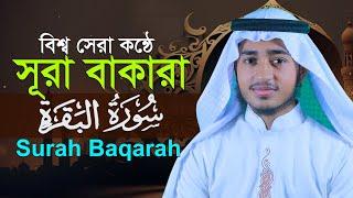 সূরা বাকারা | ক্বারী আবু রায়হান | Surah Baqarah | Qari Abu Rayhan