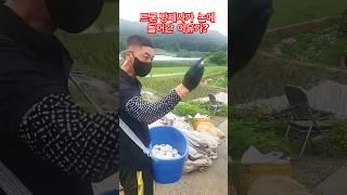 드론방제하러왔다가 던져던져ㅋㅋ