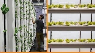 Vertical Farming: Horizontal Plane vs Vertical Plane Production