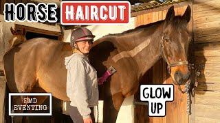 HORSE HAIRCUT | Lola Glow Up | EMD Eventing