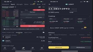 How To Sell DOGS on BINANCE (TRADE DOGS on Binance)