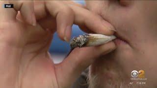 Doctors see more cases of illness affecting long-term marijuana users