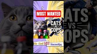 This Cat Stole a Fish... and Got Chased by Security  #cat