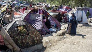 Thousands camping in Kabul’s streets face food crisis as economy collapses