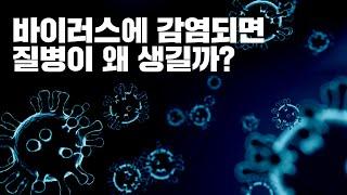 바이러스에 감염되면 왜 아픈 걸까? - [카이스트 신의철 교수의 알기 쉬운 '면역&바이러스 이야기]