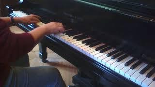 Amazingly Easy Blues  - Barbara Arens, piano