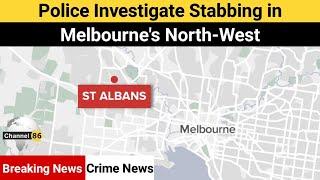 Police investigate stabbing in Melbourne's north-west - australia news update - Channel 86 Australia