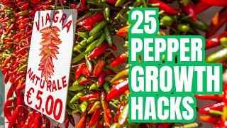 Growing Peppers | 25 Tips-Hacks-Secrets To 100X Production