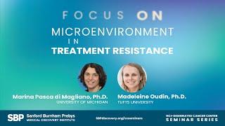 Focus On: Microenvironment in Treatment Resistance