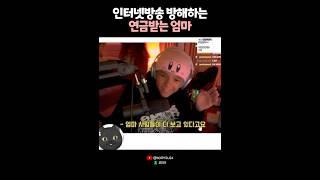 인터넷방송 방해하는 연금받는 엄마 