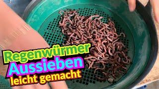 SUPERWURM Zubehör Set - Würmer Sieben leicht gemacht!