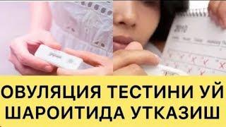 ОВУЛЯЦИЯ ТЕСТИНИ УЙ ШАРОИТИДА КАНДАЙ УТКАЗИШ