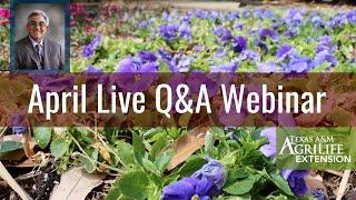 April Live Q&A Webinar