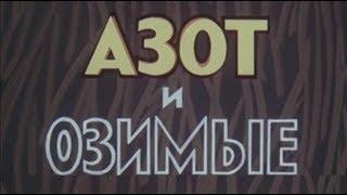 Азот и озимые