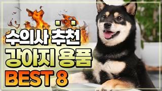 수의사가 추천하는 강아지용품 BEST 8