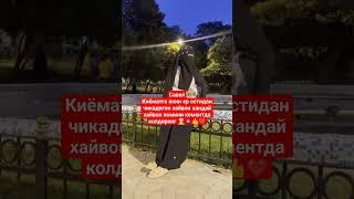 исломи савол жавоблар #shorts #shortvideo #short #shortsvideo #recommended #hajj #umra #masjidnabawi