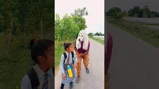 schooli  bacchi dar gai // #shorts #foryou #funny #comedyshorts #ramchauhan02