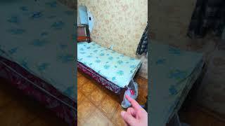 Трезвый взгляд 20