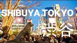 Top 5 Things to DO in SHIBUYA Tokyo | WATCH THIS BEFORE YOU GO!