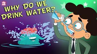 Why Do We Drink Water? | Importance Of Water | Stay Hydrated | The Dr Binocs Show | Peekaboo Kidz