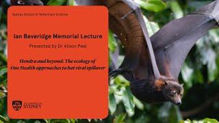 Ian Beveridge Memorial Lecture 2024 presented by Dr Alison Peel