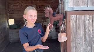 Je vous fait visiter mon Centre Equestre !