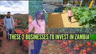 These 2 Businesses In Zambia  Can Make You A Millionare