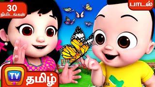 பட்டாம்பூச்சி பாடல் - Pattampoochi (Butterfly) – ChuChu TV Baby Songs Tamil - Rhymes Collection