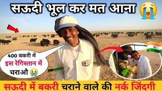 सऊदी अरब में बकरी चराने वाले की नर्क जिंदगी  || Saudi Arab Goat Worker Life || Saudi Arabia 