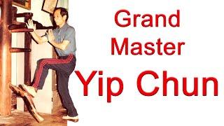 Wooden Dummy Technique by Grand Master Yip Chun