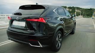 Lexus NX | The Striking Luxury Crossover | Lexus Europe