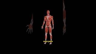 Reverse Insulin Resistance (Diabetes) WITHOUT Medicine or Supplements
