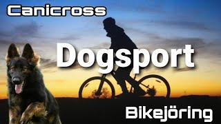 Bikejöring, Canicross Hundesport 20 Km voll Power mit einem Deutschen Schäferhund aus Leistungszucht