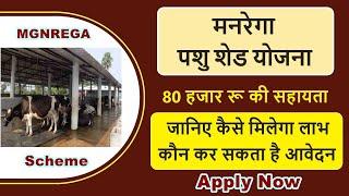 mgnrega pashu shed yojana kya hai | pashu shed yojana online apply | mgnrega pashu shed scheme 2021