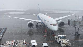 Sapporo (CTS)  ~ Tokyo Haneda (HND)  - ANA - Boeing 787-8 - Full Flight