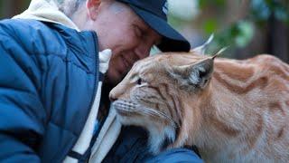 Hunter Fed Dying Pregnant Bobcat All Winter - 1 Year Later, He Heard a Sound That Made Him Cry