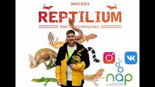 Рептилиум. Reptilium.