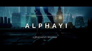 알파이 매드무비 | ALPHAYI MONTAGE