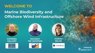 Webinar: Marine Biodiversity and Offshore Wind Infrastructure