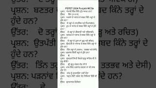 PSTET 2024  Punjabi MCQs #pstet #pstetpunjabi