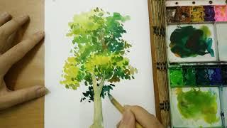 Water Colour Demonstration "Tree"  水彩“树”示范