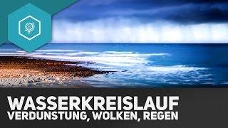 Der Wasserkreislauf - Verdunstung, Wolken und Regen - Klima & Wetter Grundlagen 4