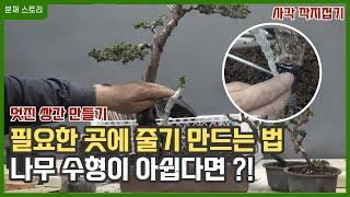 필요한곳에 줄기 만드는법/사각 깍지접How to make stems where needed / Square pod folding