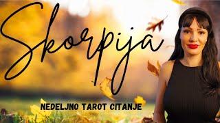 SKORPIJA "Odlucujuci razgovor!" 7.10.-13.10. nedeljno tarot citanje