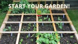 Letitia's Passion for Growing Fresh Vegetables: Tips & Tricks for a Thriving Garden: Letitia Montoya