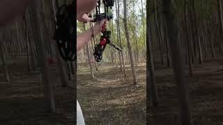 #archery #slingshotrifle #compoundbow #bowhunting #slingshot #slingshotchallenge #youtubeshorts