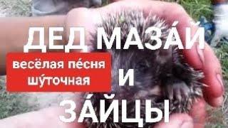 ВЕСЁЛАЯ ПЕСНЯ!: Дед Мазай и зайцы