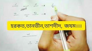 হরকত,তানভীন,তাশদীদ,জযম কিভাবে পড়তে হয়।।।।।।